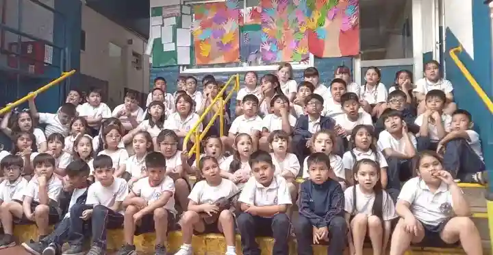 Primer Ciclo del Nivel Primario